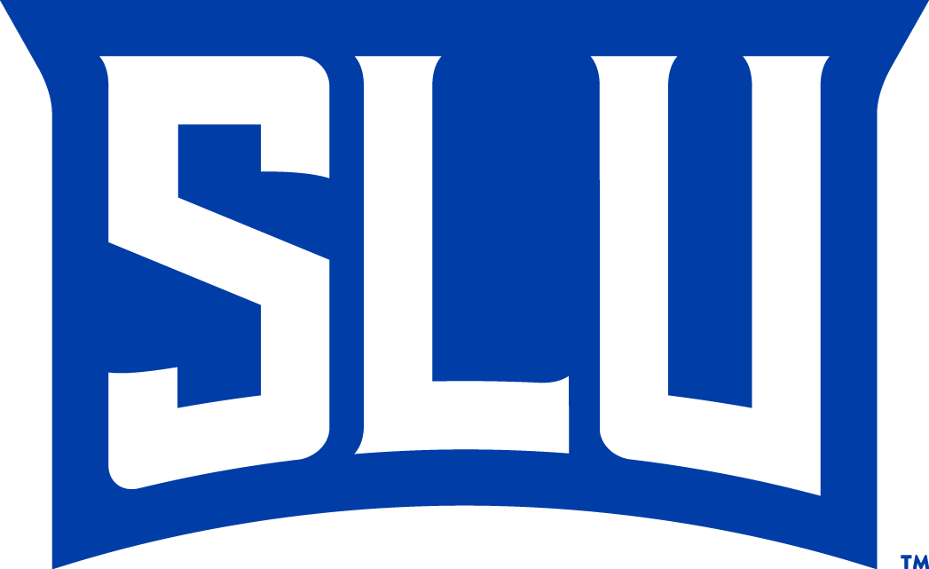 Saint Louis Billikens 2015-Pres Wordmark Logo v6 diy DTF decal sticker